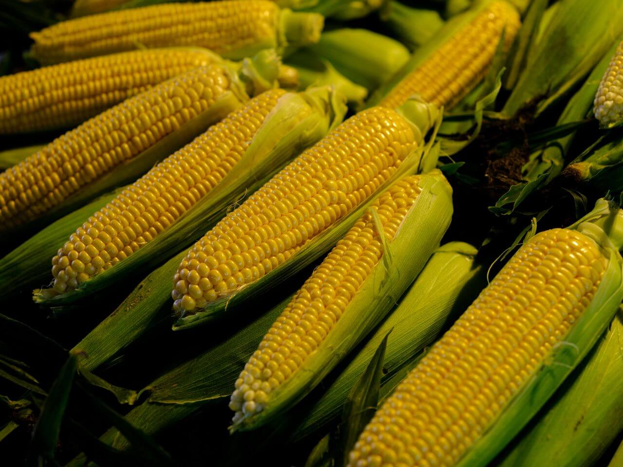 Nebraska